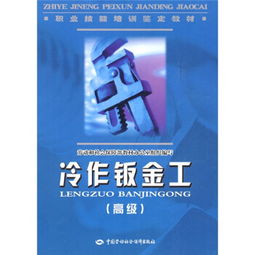 冷作钣金工高级 技艺、标准与创新之路